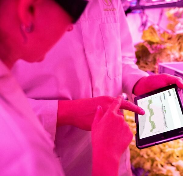 digital growth tools enhancement