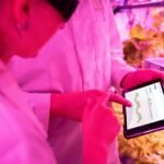 digital tools for growth