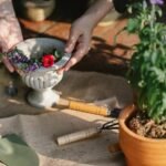 maximize digital growth tools